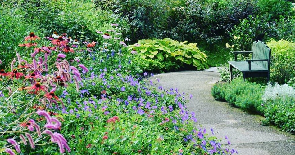 Marcel Dyf『庭園の花』 ac-2407.jpg